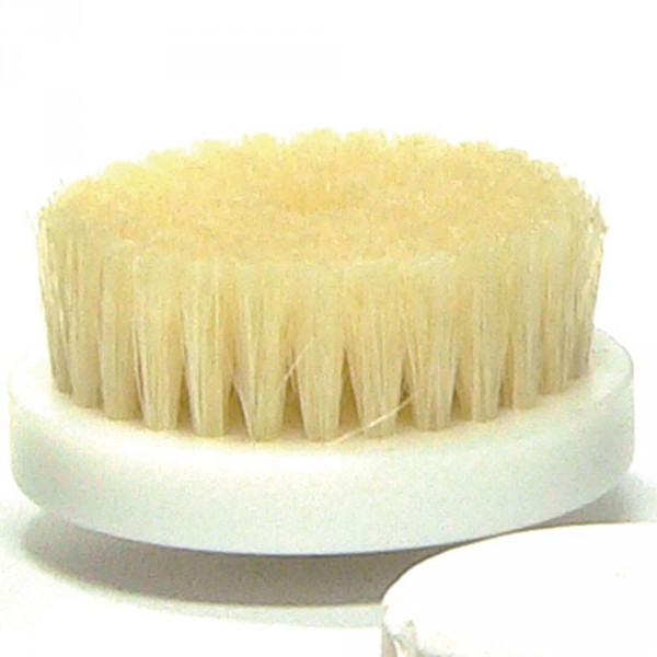 brosse dure large, 60mm